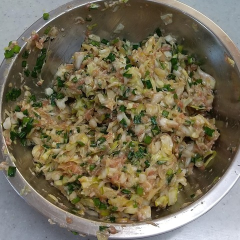 ホットプレート餃子 (6)