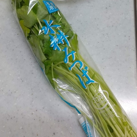ささみレンチン蒸しみつば (2)