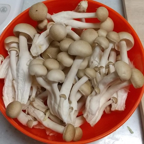 麻婆豆腐鍋 (2)