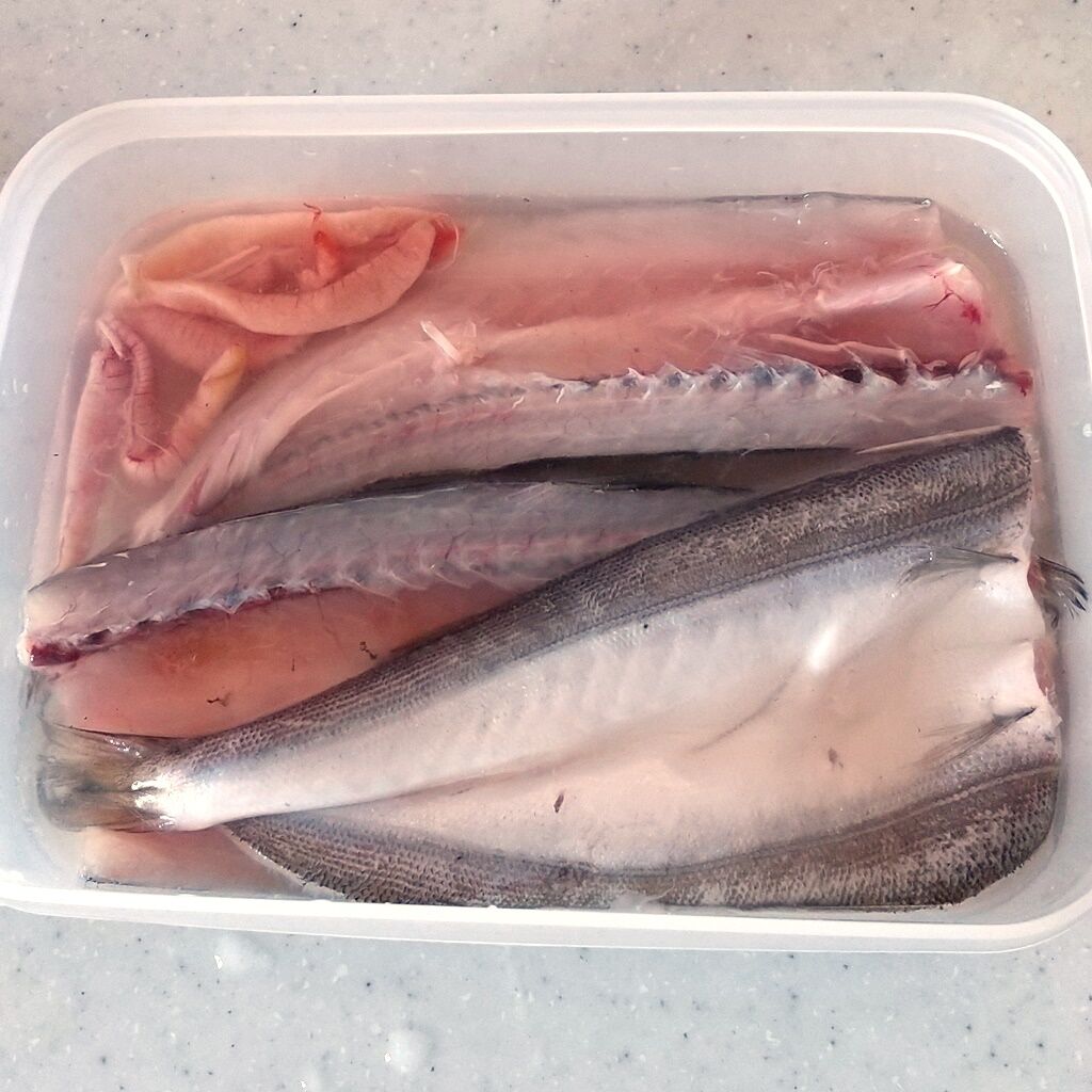 意外と簡単 カマスの干物 梅雨前に作ってみました 特売魚で節約レシピ 魚料理 一夜干し 焼き魚 Syuntaroの 食の荒野を彷徨う 意外と簡単 カマスの干物 梅雨前に作ってみました 特売魚で節約レシピ 魚料理 一夜干し 焼き魚 Syuntaroの 食の荒野を彷徨う