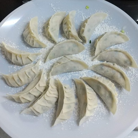 ホットプレート餃子 (1)