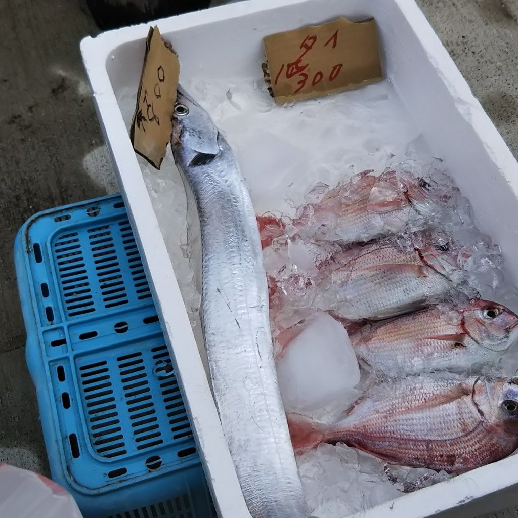週末は 水俣漁師市に行ってきました Syuntaroの 食の荒野を彷徨う 週末は 水俣漁師市に行ってきました Syuntaroの 食の荒野を彷徨う