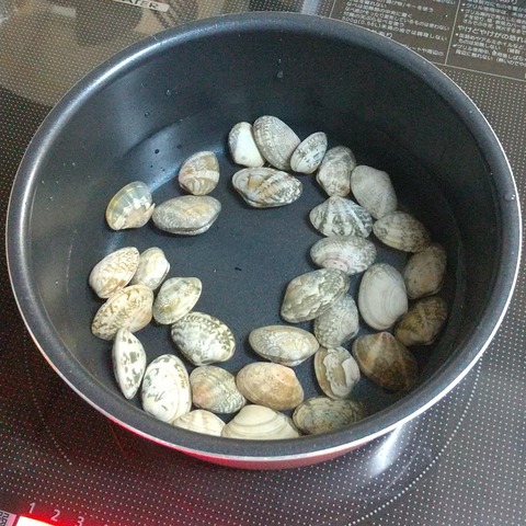 あさり味噌汁三つ葉入り (2)