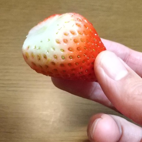 大分いちごベリーツ (1)