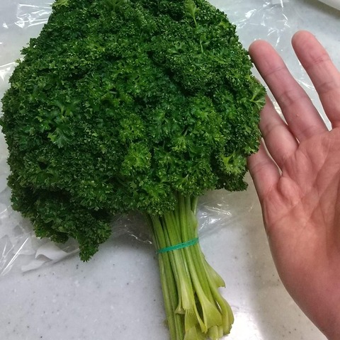 オムレツ風玉子焼きパセリ入り (2)