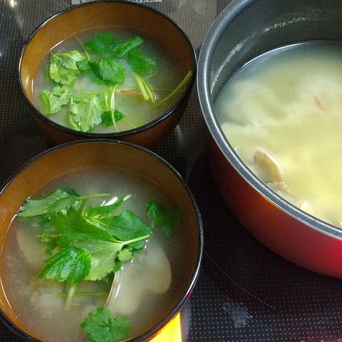 あさり味噌汁三つ葉入り (6)