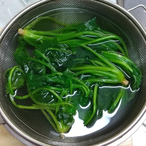 ほうれん草お浸し3