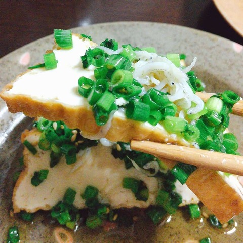 厚揚げねぎまみれ1