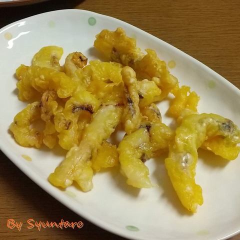 レコルトエアーオーブンイカ天 (1)