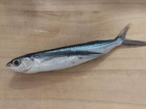 トビウオのから揚げ (2)