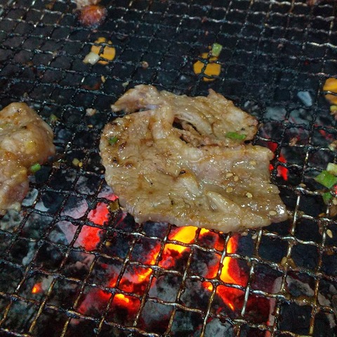 焼き肉の漬け込みタレ (1)