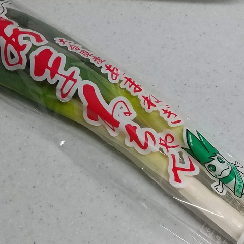 ねぎ焼きあまねちゃん (2)