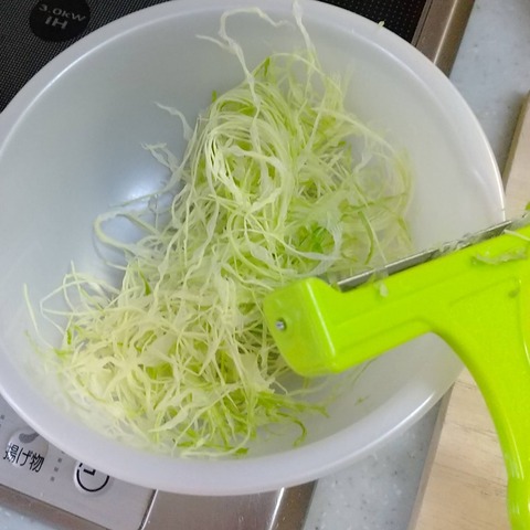 サラダサーモン (1)