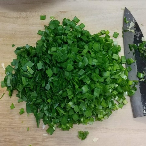 ホットプレート餃子 (3)