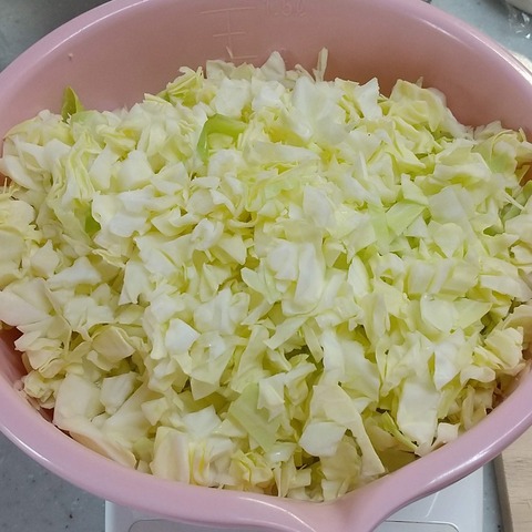 ホットプレート餃子 (2)