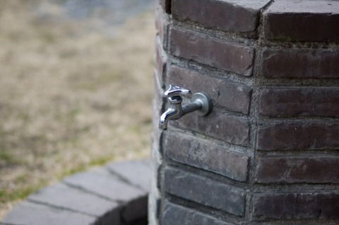 a0008_000831