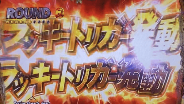 qekescxd_cleanup-min