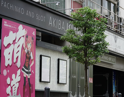 811A5E63-BF64-4775-8EBC-2C1524E3E0FF