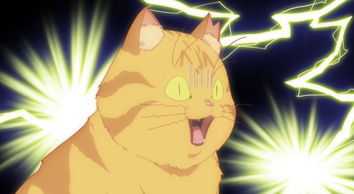 AC6D5094-6047-4E85-B0E7-00994A09B4E3