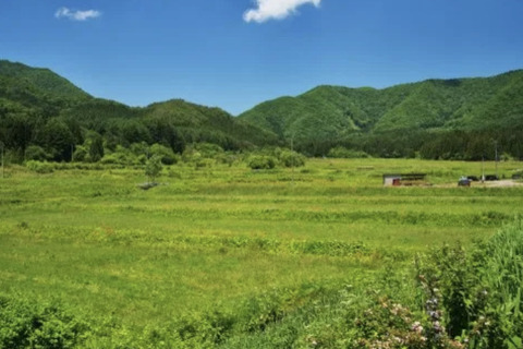 E33BBE65-7AFA-4021-AB75-E66B6F08EFAE