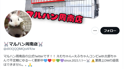 スクリーンショット_20230203_022022