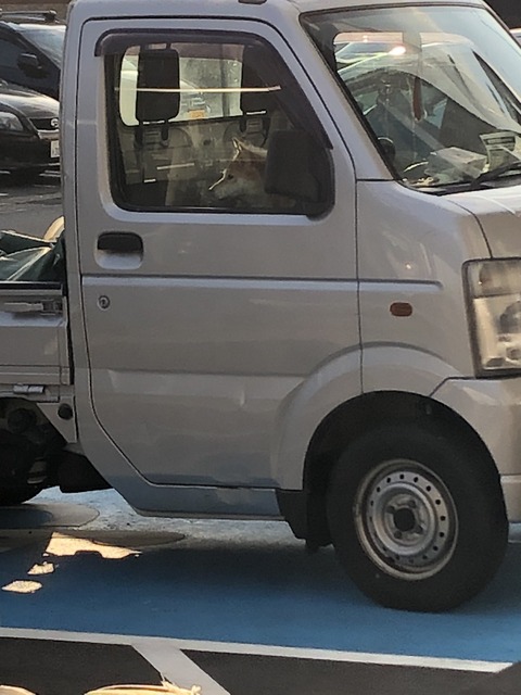 D2A1B512-72C8-4A71-A3ED-4DE13427F01A