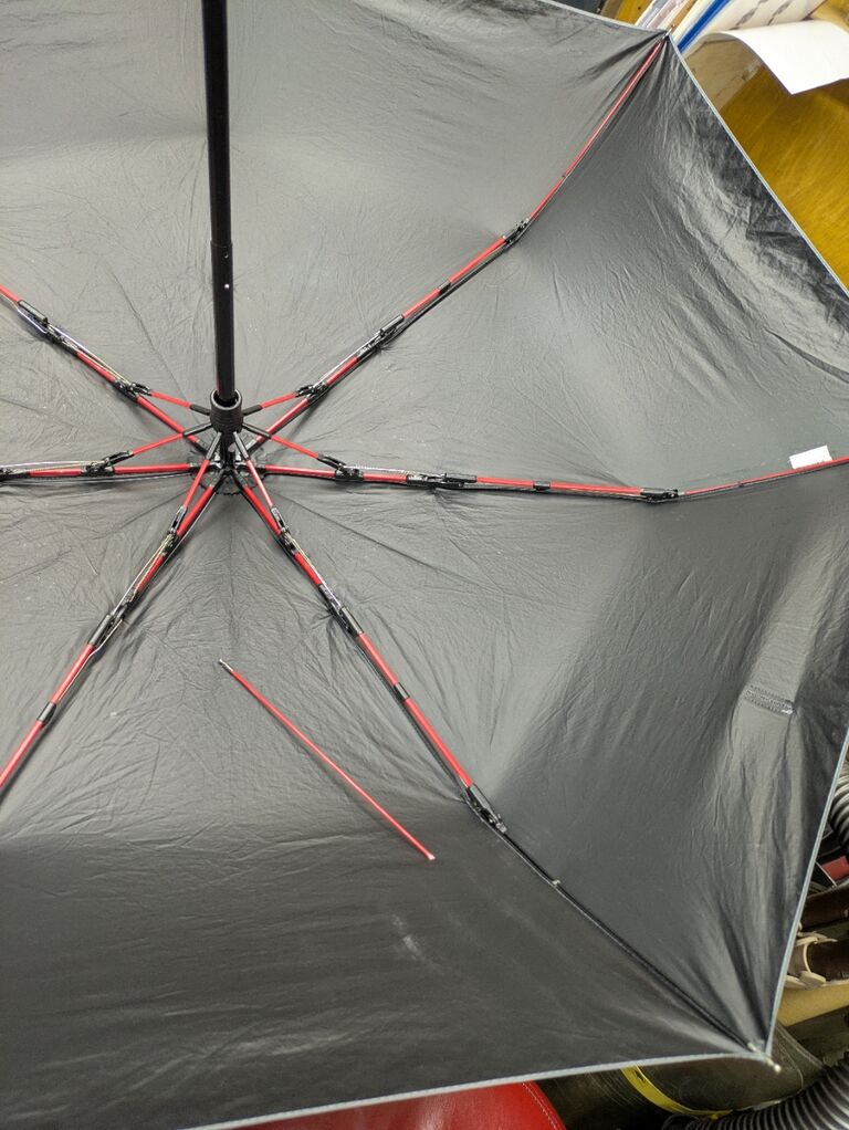 PXL_20251101_095740747