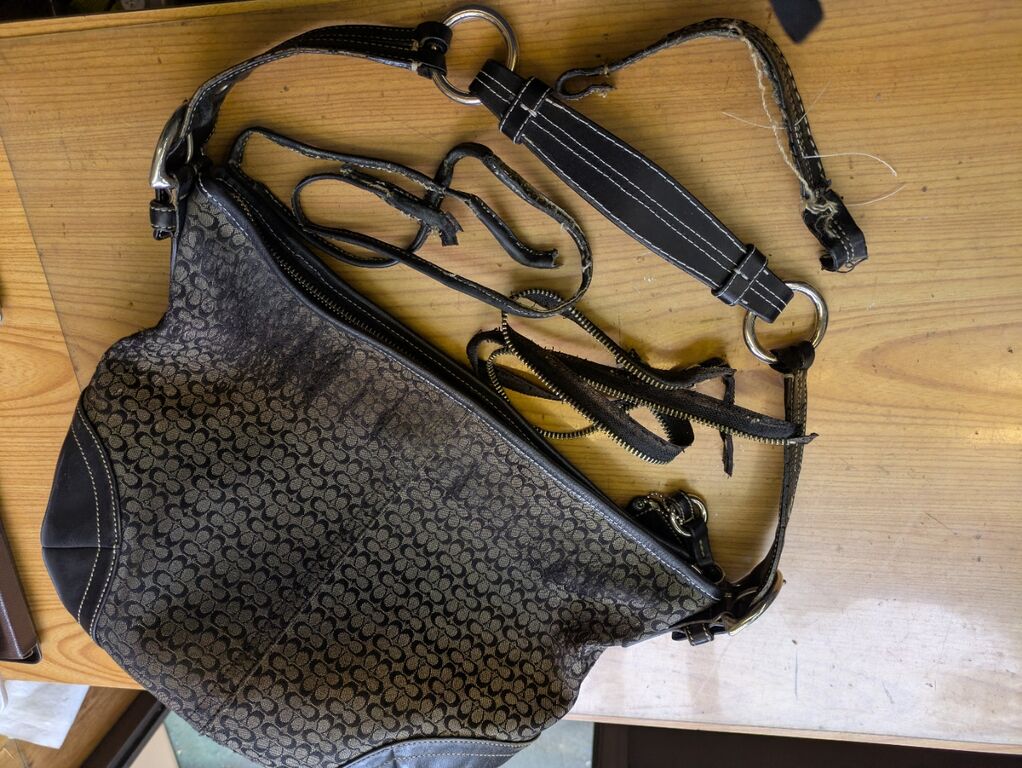 PXL_20251105_044836954