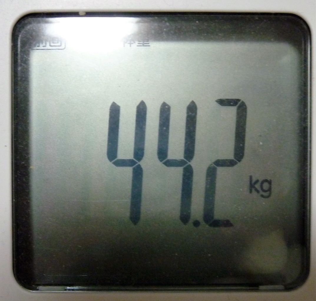 今日の計測 体脂肪率28 2 体脂肪率27 肉子がリファカラットで足痩せを目指すブログ