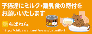 20200220milk_320x120