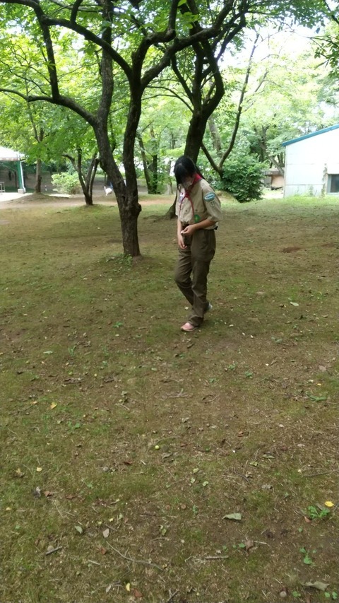 1687772901606