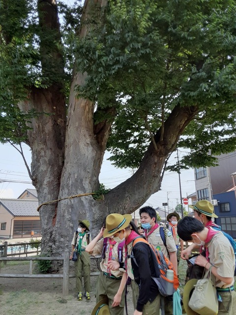KSJM6756