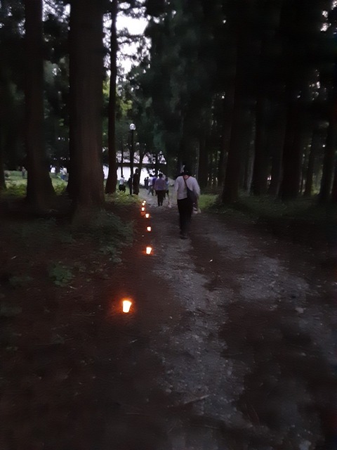 1690975746182