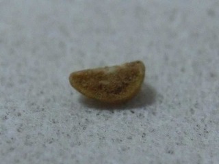porosio5