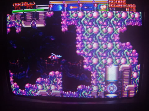 198X_02_koshiro01