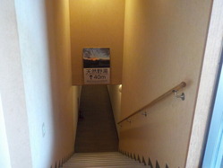 DSCN0003