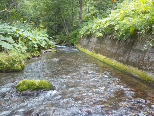 DSCN0936