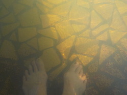 DSCN0028