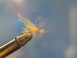 ＴＭＣ５２１２