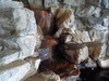 DSCN0011