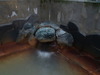 c22044e1.jpg
