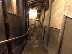 DSCN0044