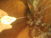 DSCN0034