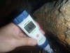 e8fda2a2.jpg