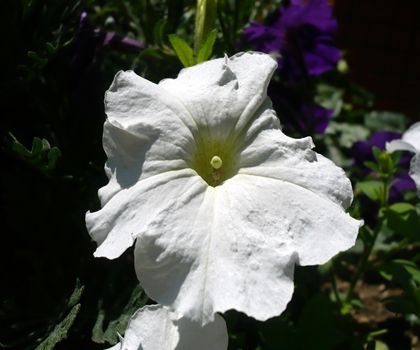 2012.4.28-2