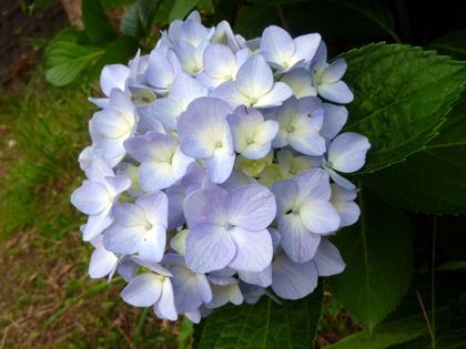 2011.7.5