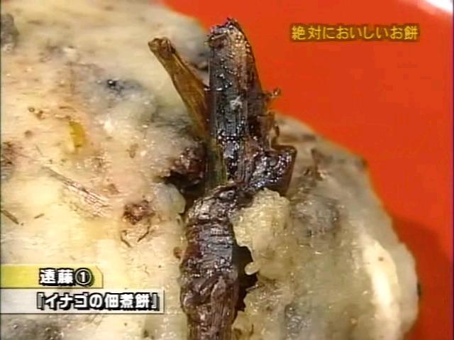 ダウンタウンのガキの使いやあらへんで 6 5放送分 T2chopperの日記 本館