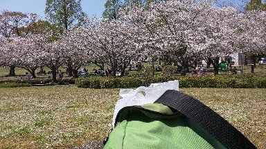 IMG_20190407_130355