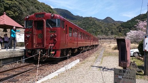 IMG_20190403_120346