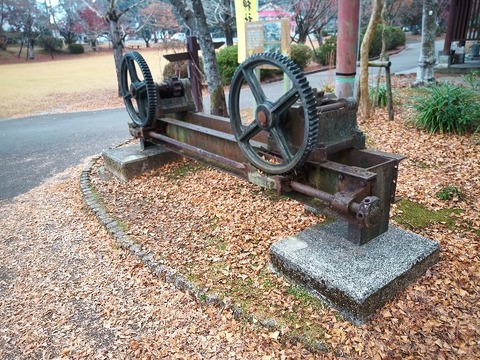 IMG_20201203_100446